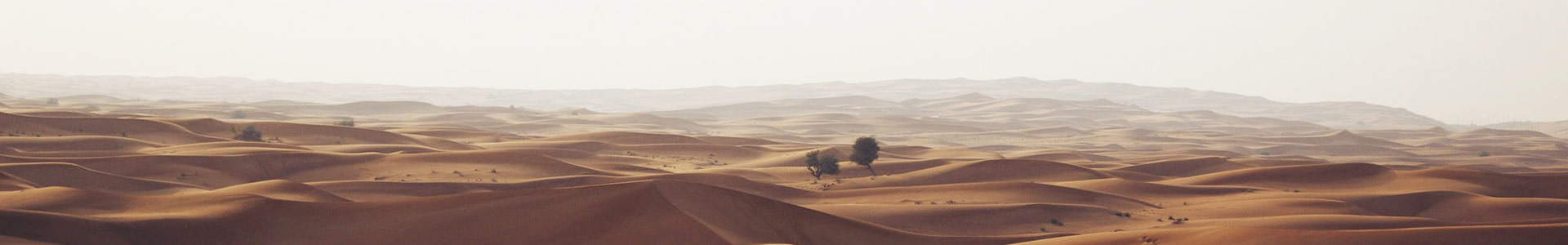 ӱܹܵ޹˾